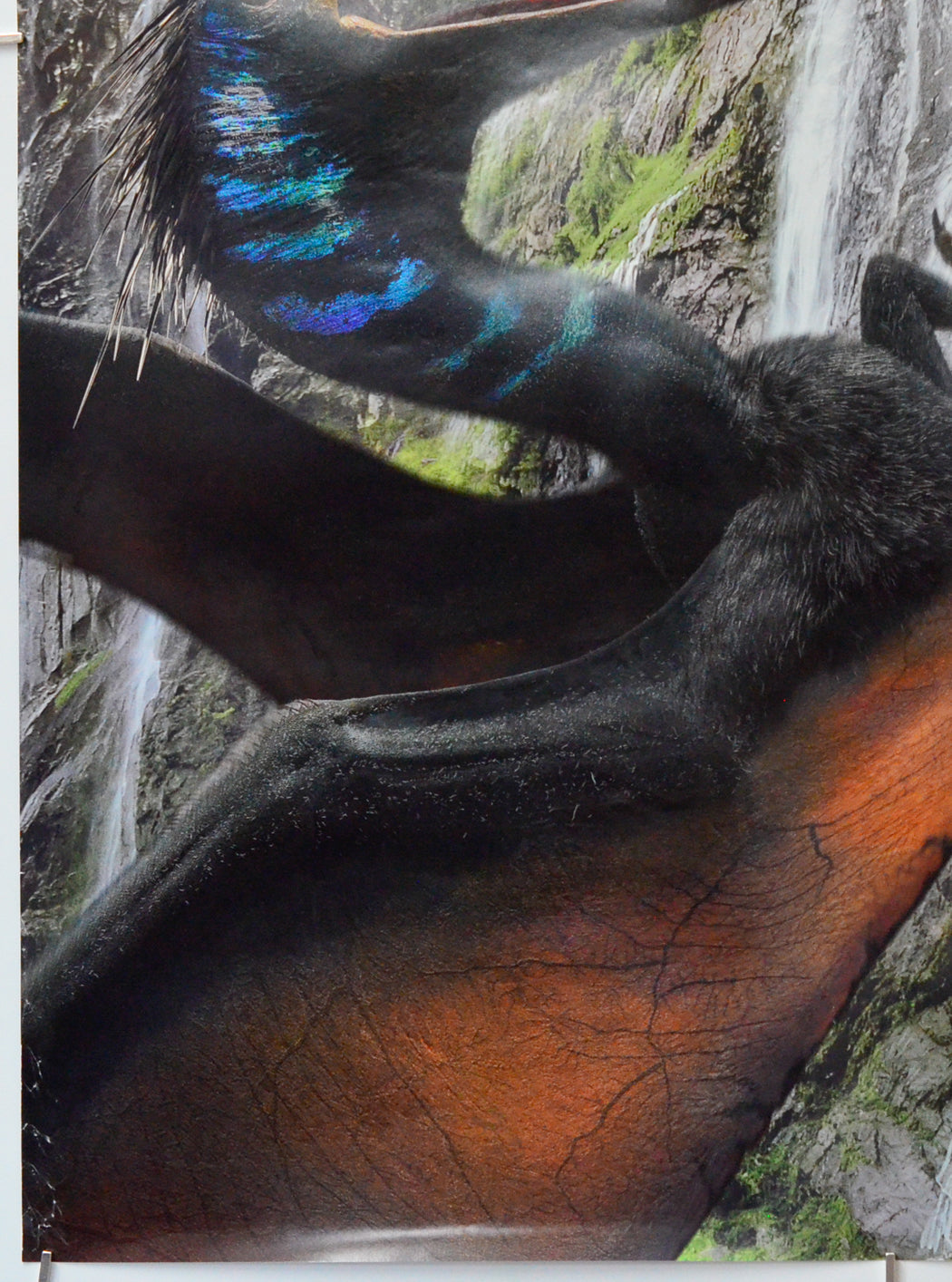 Jurassic World: Rebirth (Bottom Left) Cinema One Sheet Movie Poster 