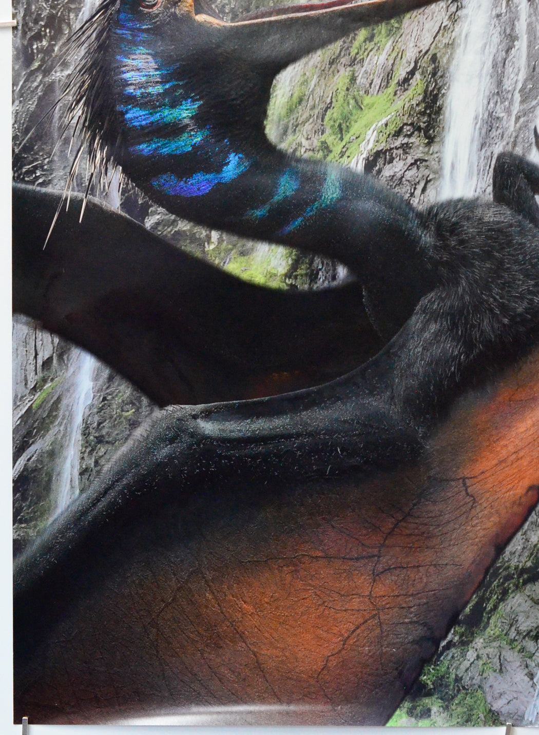 Jurassic World: Rebirth (Bottom Left) Cinema One Sheet Movie Poster 