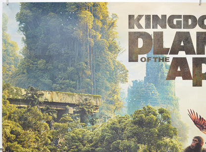 KINGDOM OF THE PLANET OF THE APES (Top Left) Cinema Quad Movie Poster 