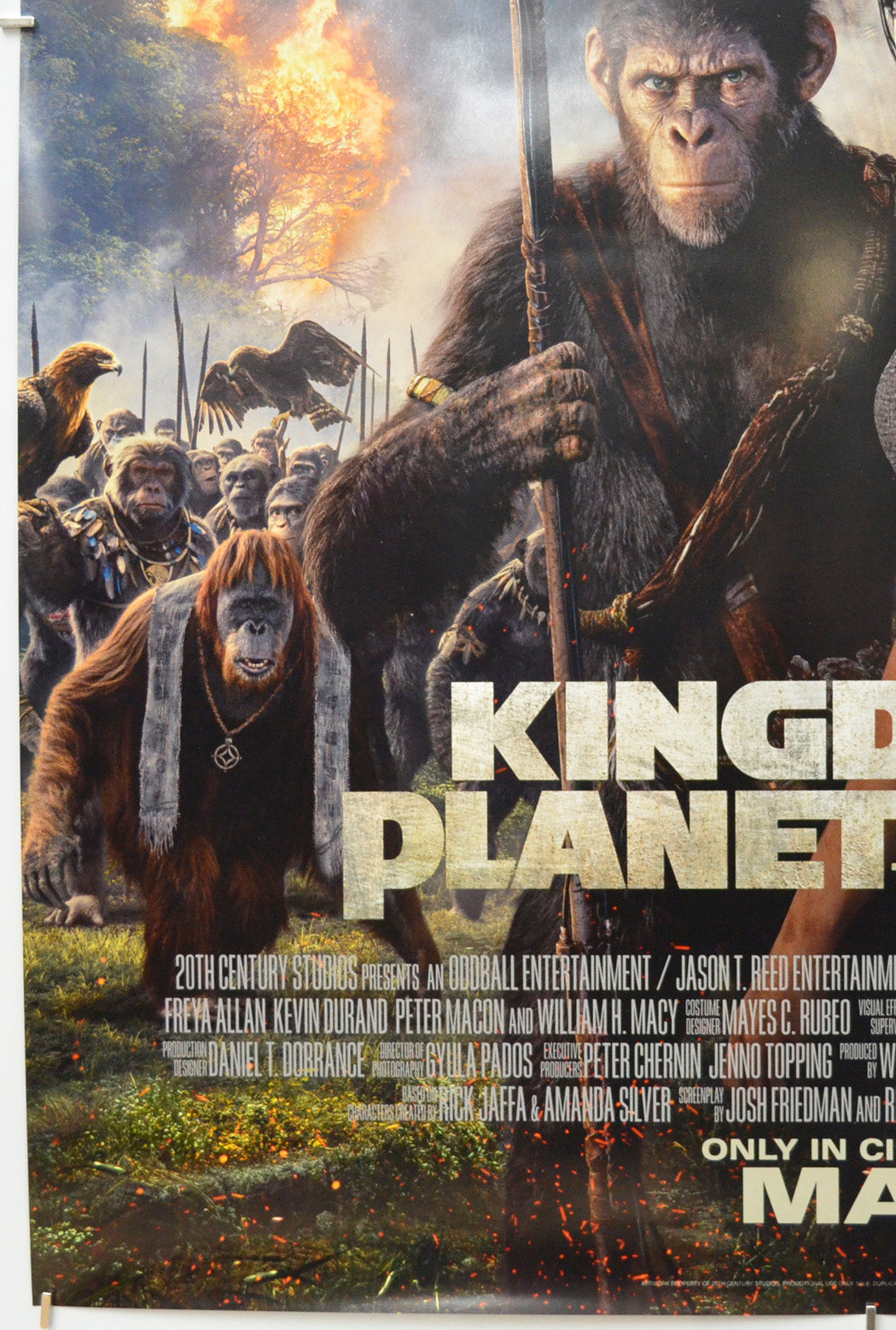 Kingdom Of The Planet Of The Apes (Bottom Left) Cinema One Sheet Movie Poster 