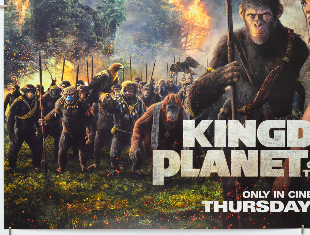 Kingdom Of The Planet Of The Apes (Bottom Left) Cinema Quad Movie Poster 