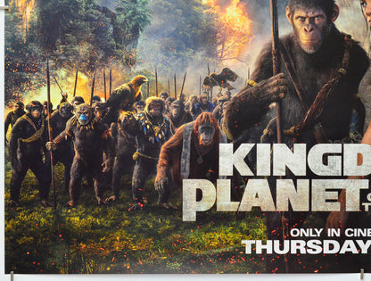 Kingdom Of The Planet Of The Apes (Bottom Left) Cinema Quad Movie Poster 