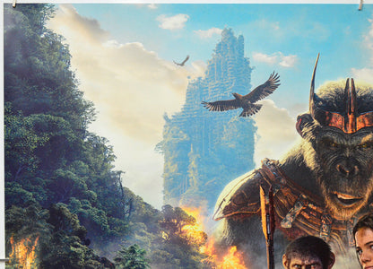 Kingdom Of The Planet Of The Apes (Top Left) Cinema Quad Movie Poster 