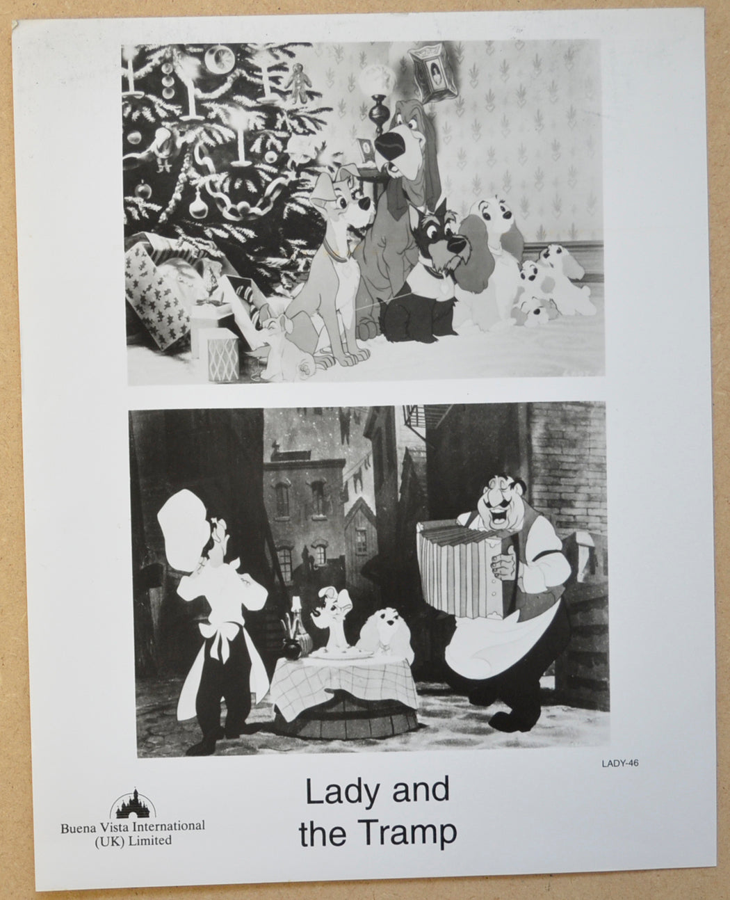 LADY AND THE TRAMP (Still 1) Cinema Black and White Press Stills 