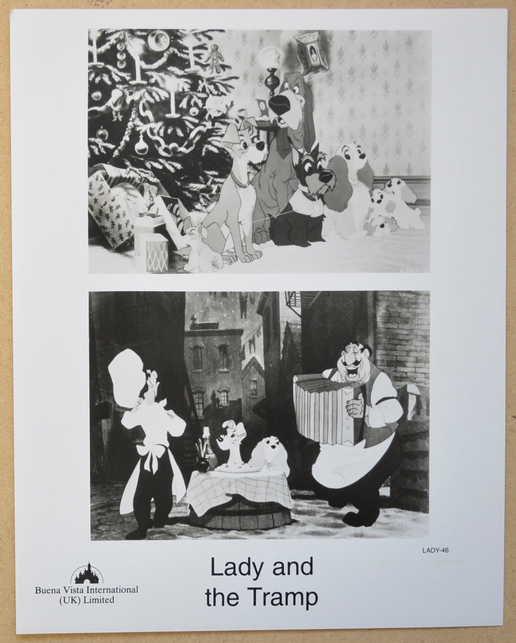 LADY AND THE TRAMP (Still 1) Cinema Black and White Press Stills 