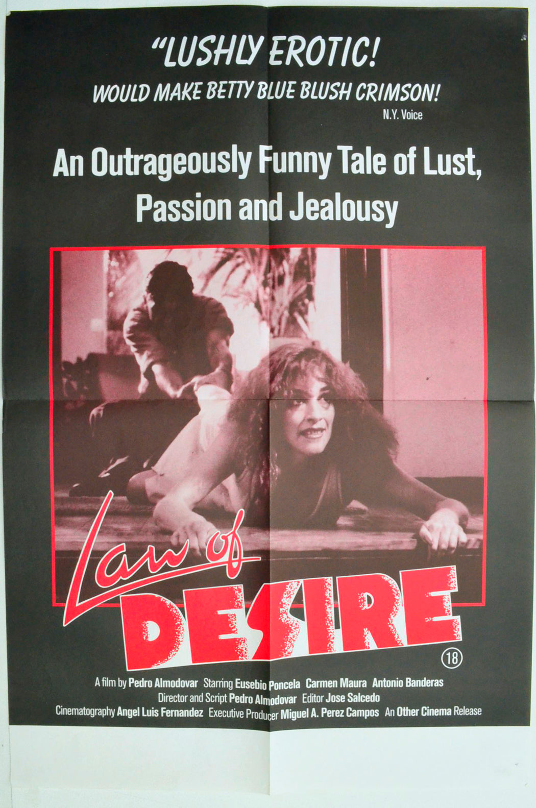 Law Of Desire  (a.k.a. La ley del deseo)   Original Double Crown Poster - Film Poster - Movie Poster 