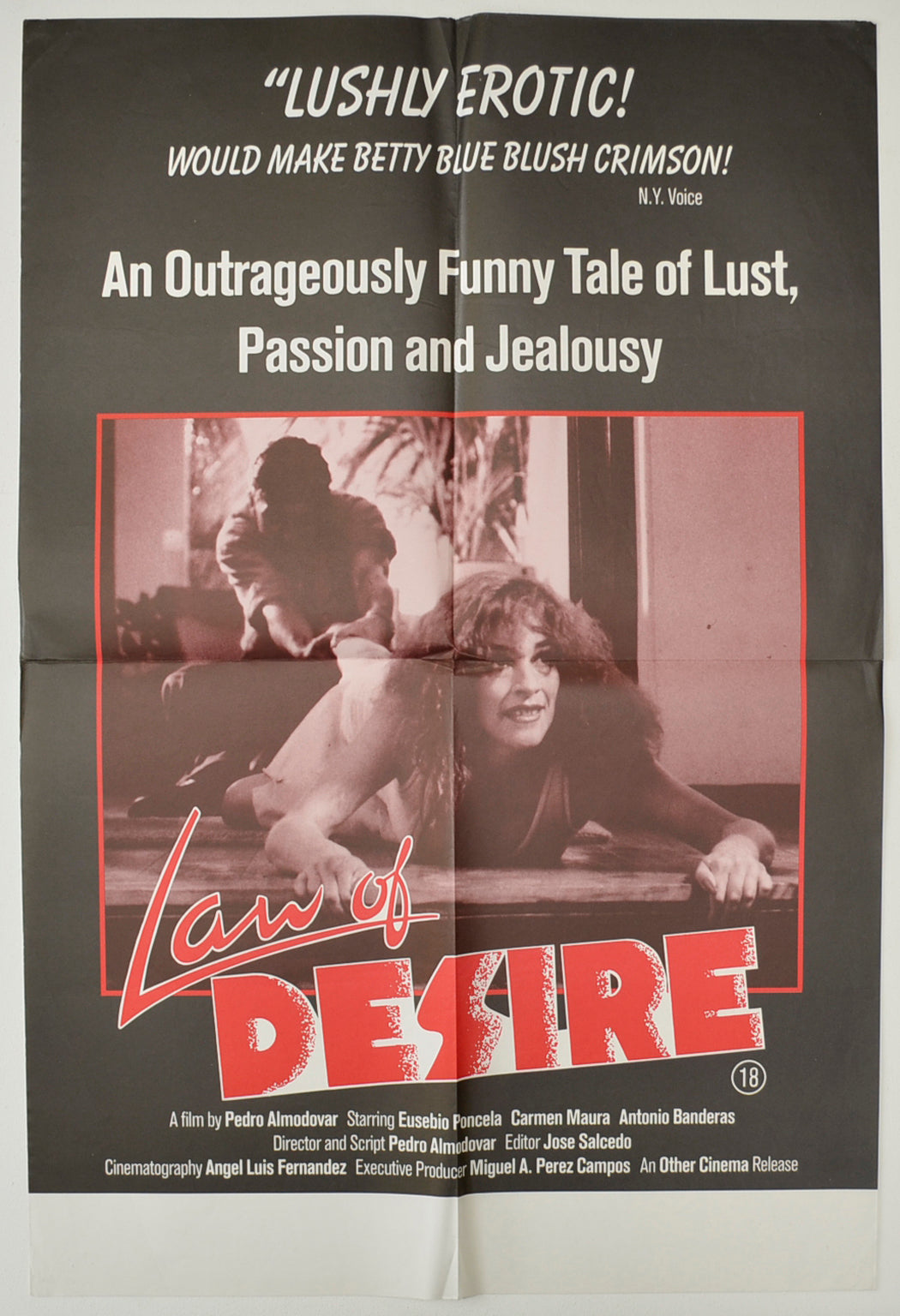 Law Of Desire  (a.k.a. La ley del deseo)   Original Double Crown Poster - Film Poster - Movie Poster  