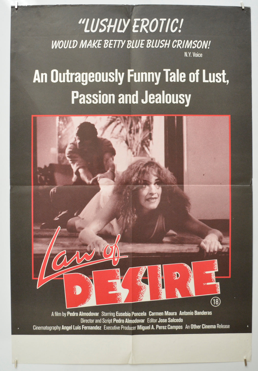 Law Of Desire (a.k.a. La ley del deseo)  Original Double Crown Poster - Film Poster - Movie Poster