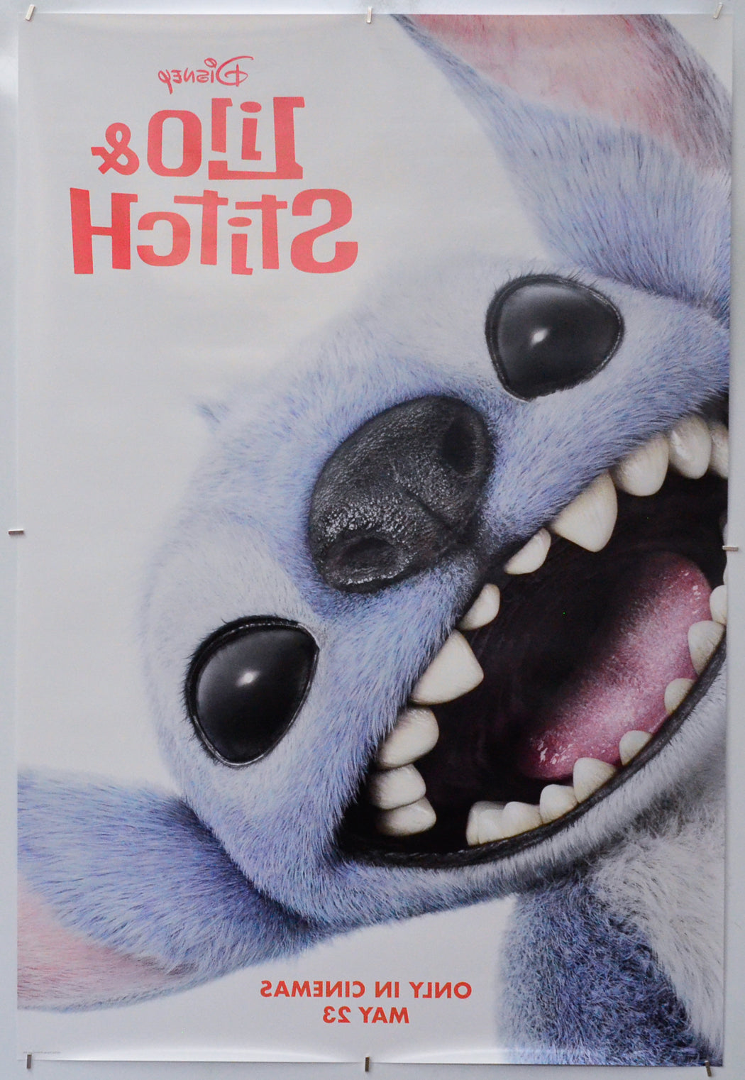 Lilo and Stitch (Back) Cinema One Sheet Movie Poster 