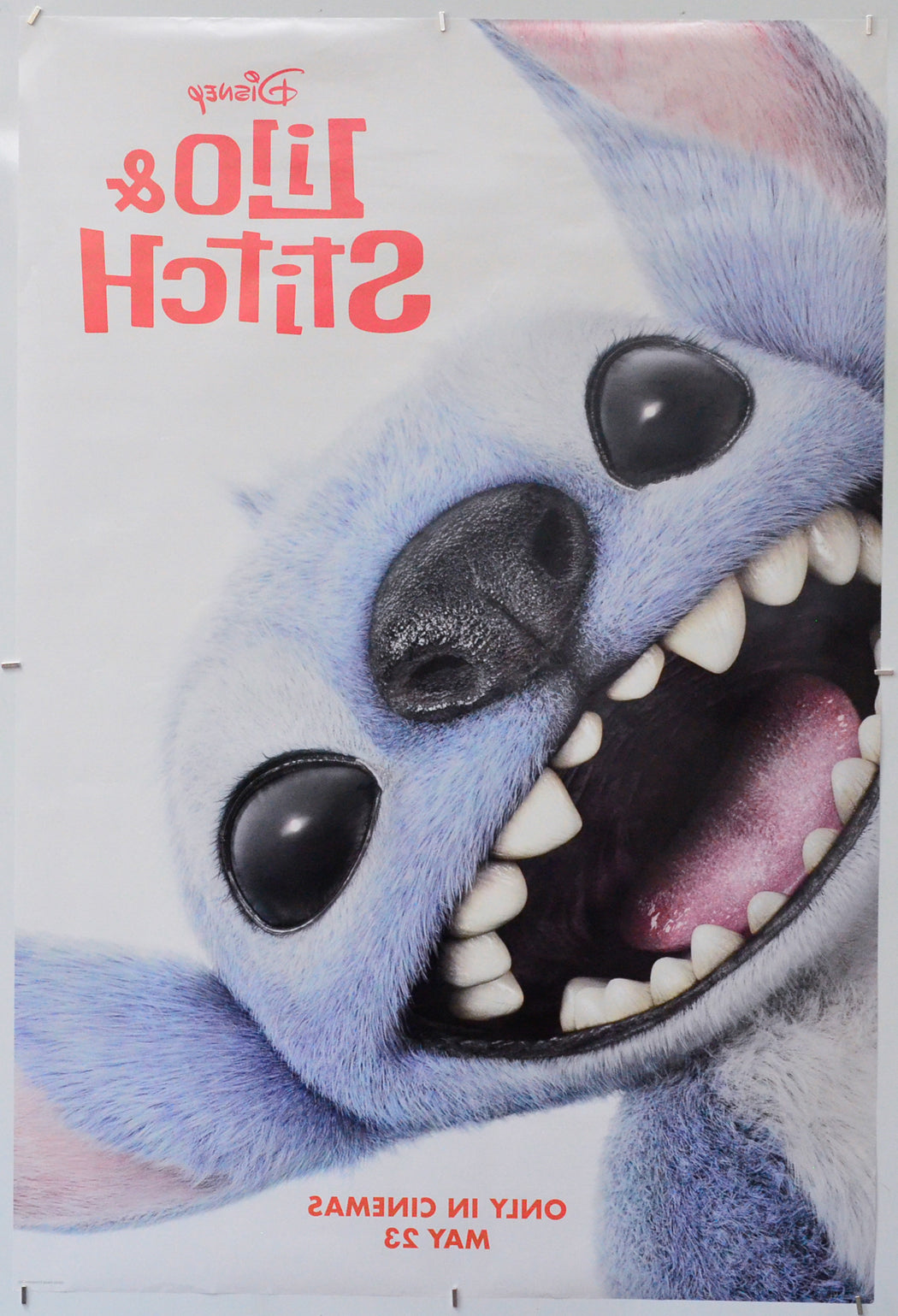 Lilo and Stitch (Back) Cinema One Sheet Movie Poster 