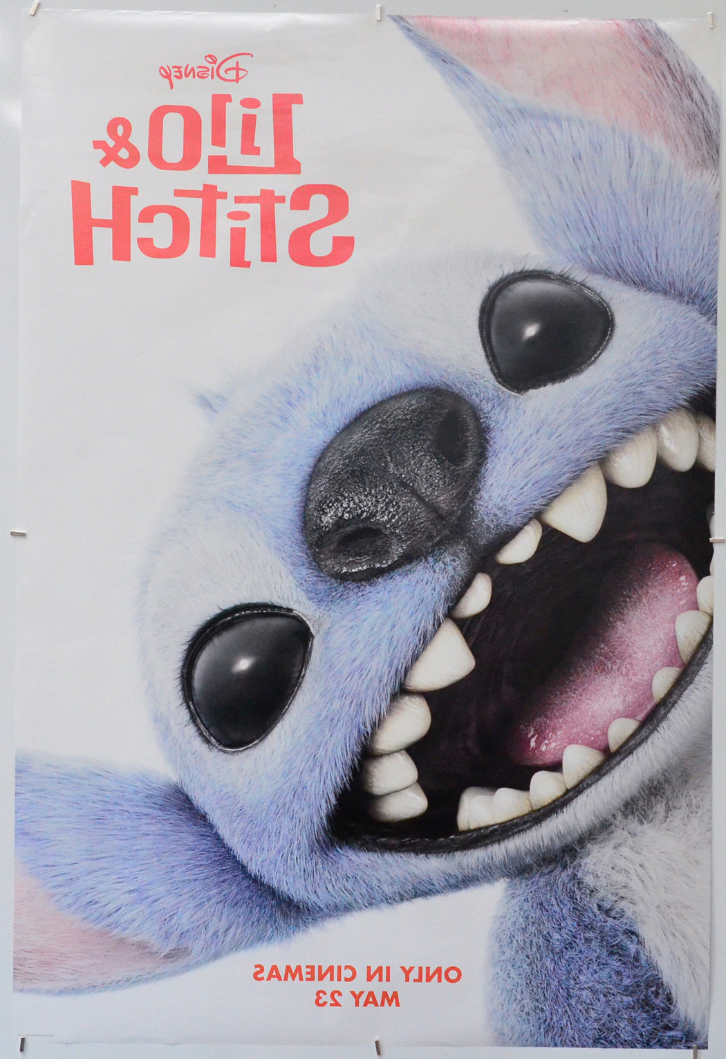 Lilo and Stitch (Back) Cinema One Sheet Movie Poster 