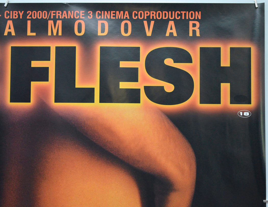 LIVE FLESH (Top Right) Cinema Quad Movie Poster 