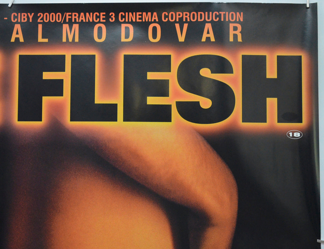 LIVE FLESH (Top Right) Cinema Quad Movie Poster 