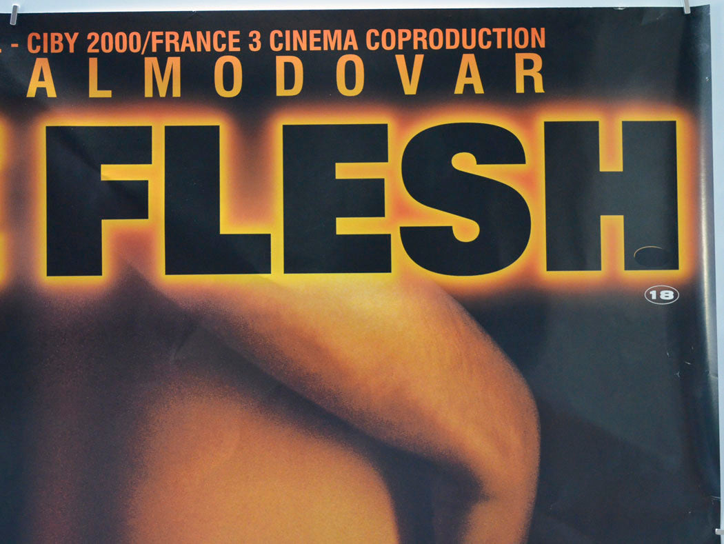 LIVE FLESH (Top Right) Cinema Quad Movie Poster 