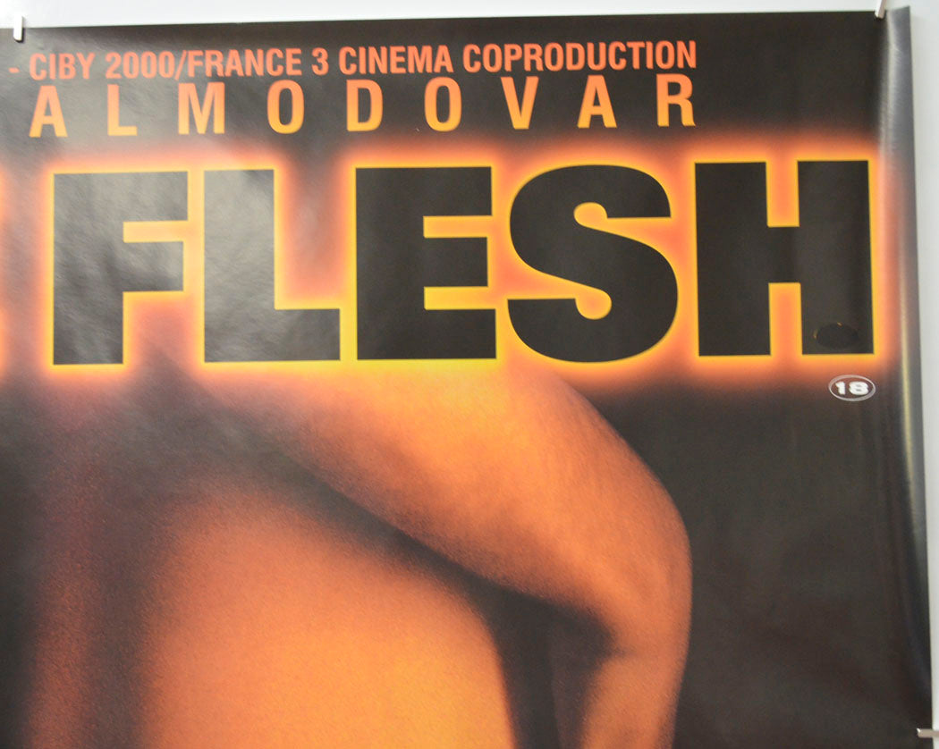 LIVE FLESH (Top Right) Cinema Quad Movie Poster 