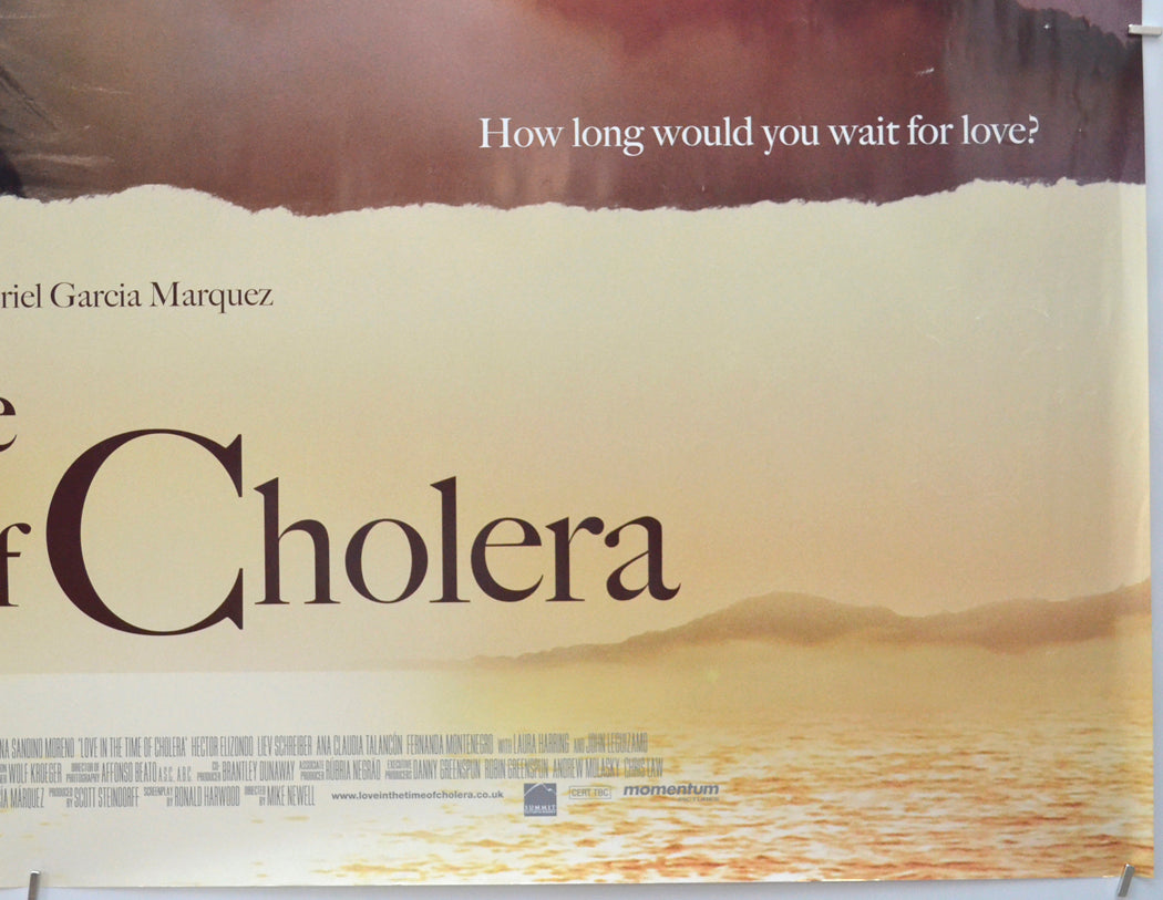 LOVE IN THE TIME OF CHOLERA (Bottom Right) Cinema Quad Movie Poster 