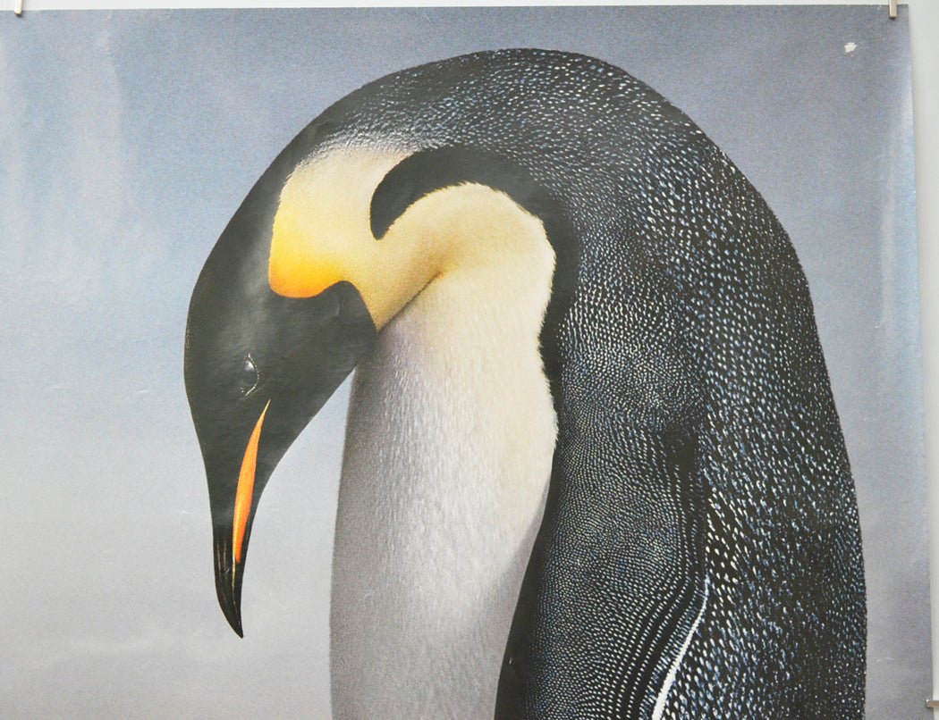 MARCH OF THE PENGUINS (Top Right) Cinema Quad Movie Poster 