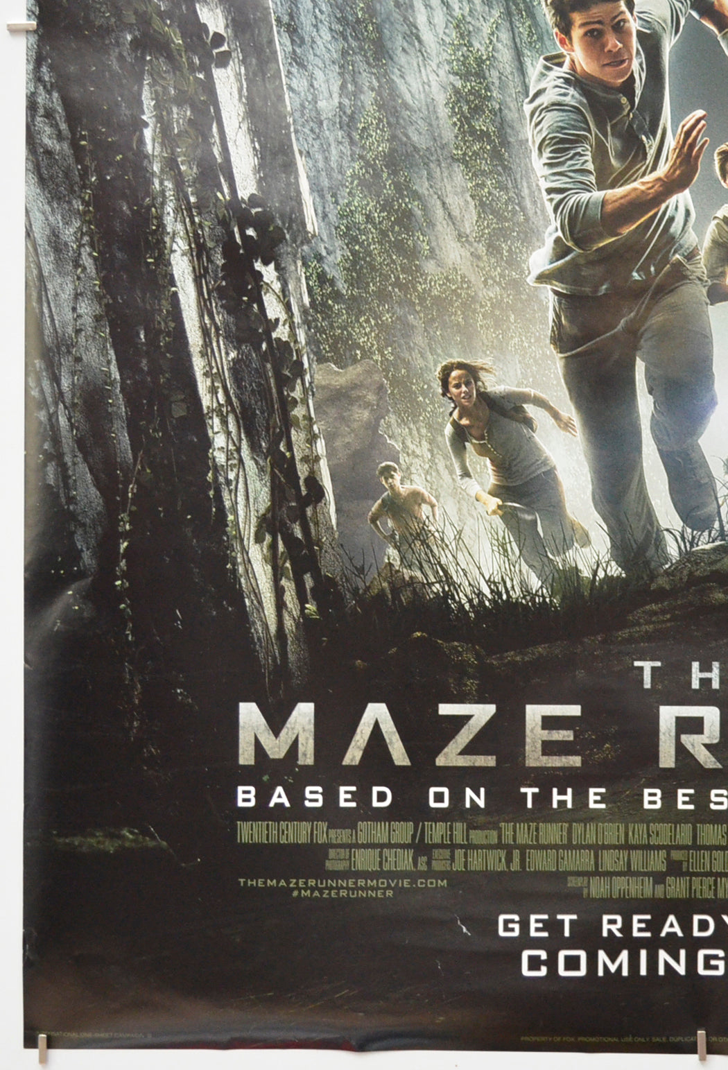 THE MAZE RUNNER (Bottom Left) Cinema One Sheet Movie Poster 