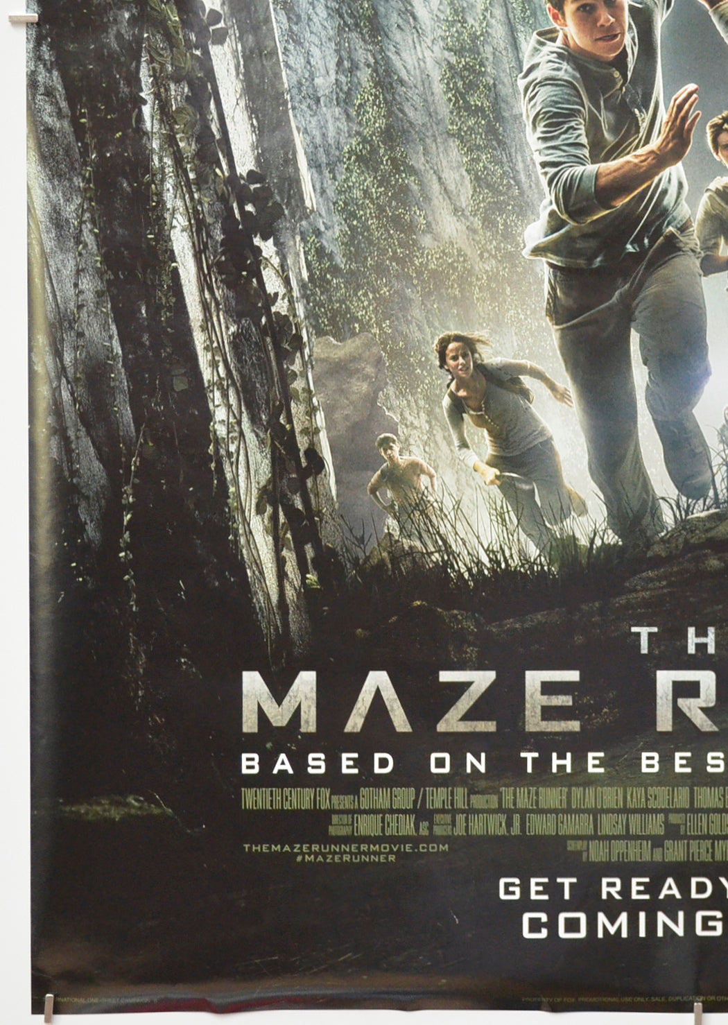 THE MAZE RUNNER (Bottom Left) Cinema One Sheet Movie Poster 