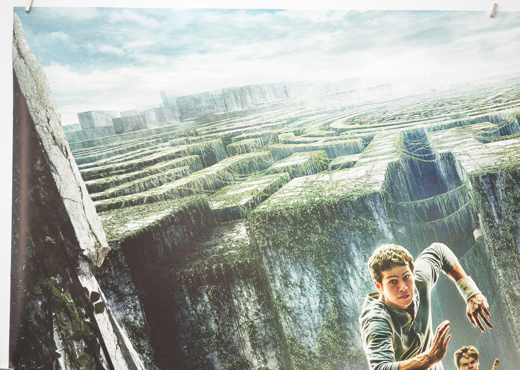 THE MAZE RUNNER (Top Left) Cinema Quad Movie Poster 