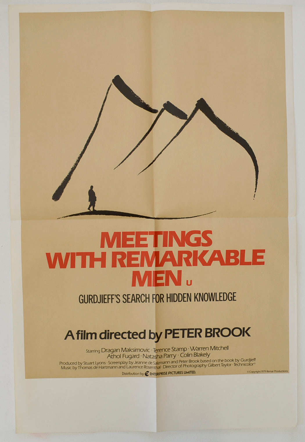 Meetings With Remarkable Men   Original Double Crown Poster - Film Poster - Movie Poster 