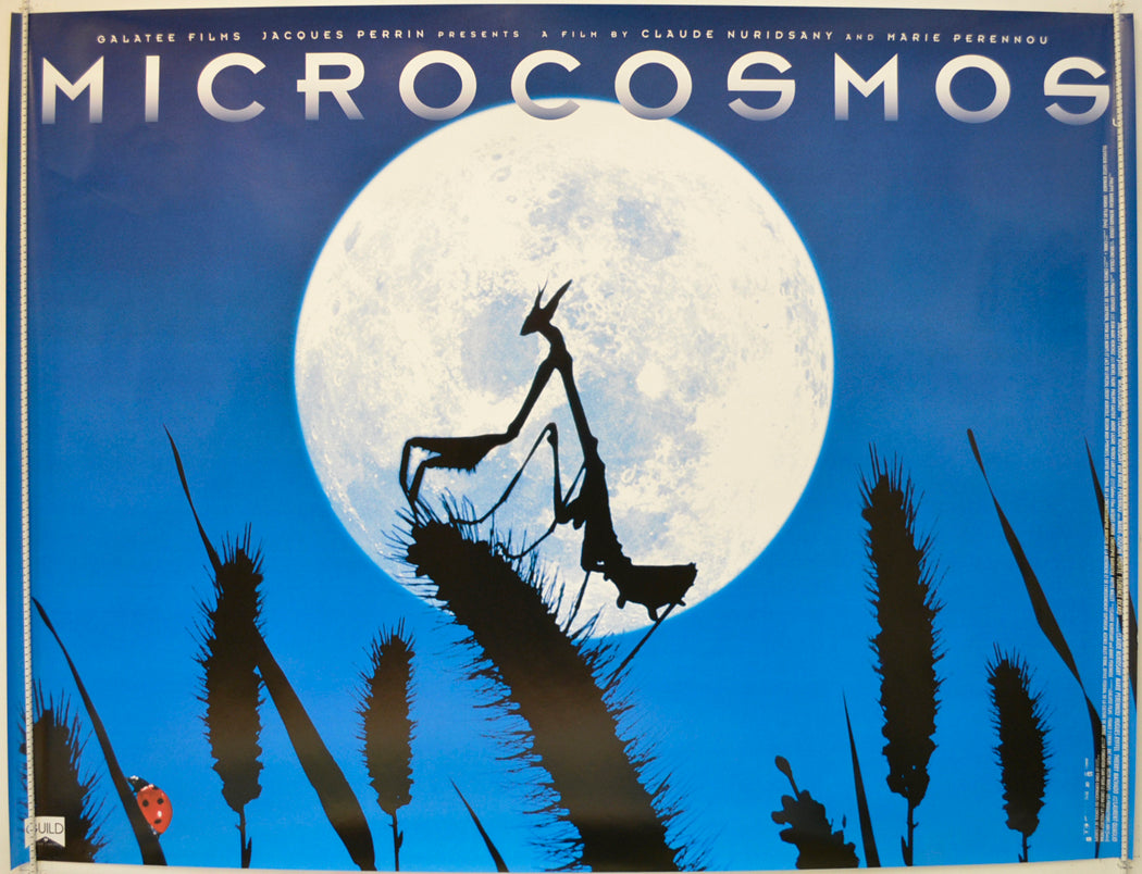 Microcosmos  Original Quad Poster - Film Poster - Movie Poster 