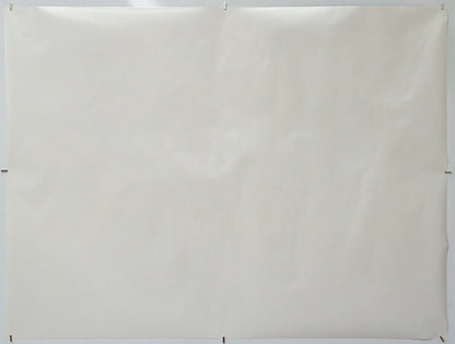 Mighty Morphin Power Rangers (Back) Cinema Quad Movie Poster 