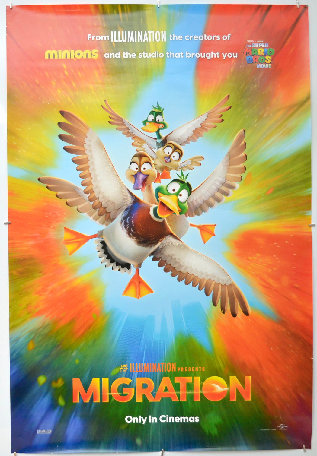 Migration (Teaser / Advance Version) Original One Sheet Poster - Film Poster - Movie Poster 