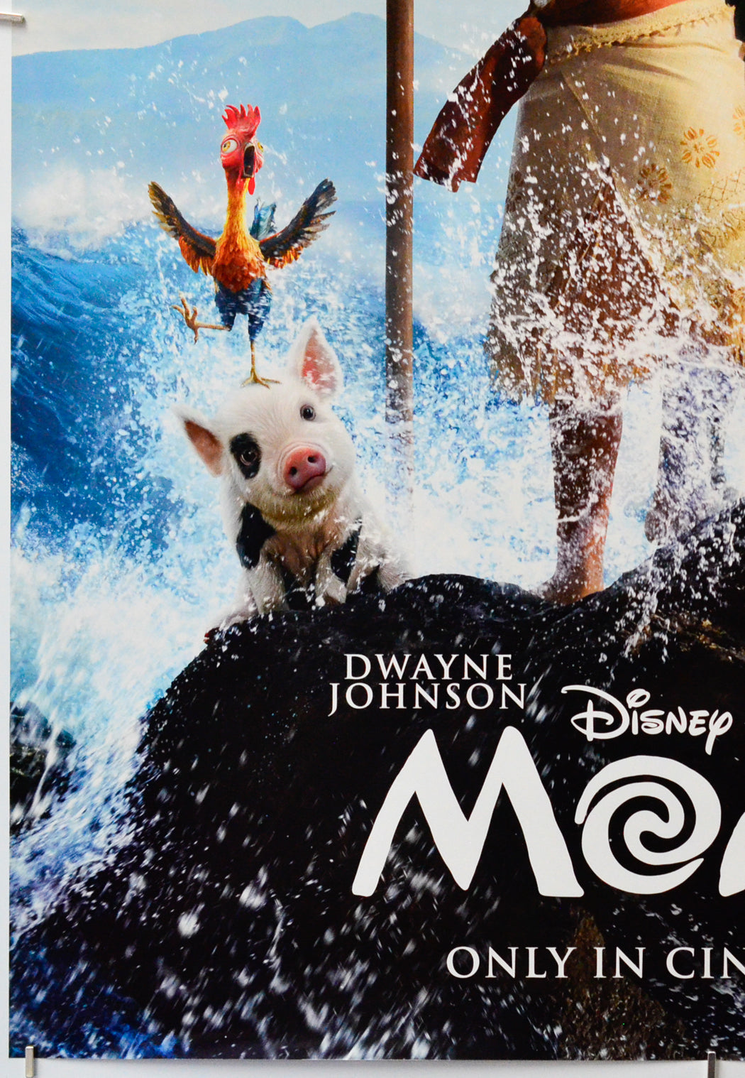Moana (Bottom Left) Cinema One Sheet Movie Poster 