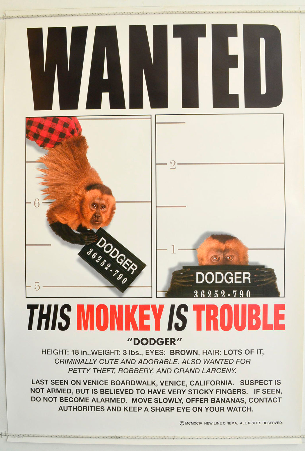 Monkey Trouble  Original One Sheet Poster - Film Poster - Movie Poster