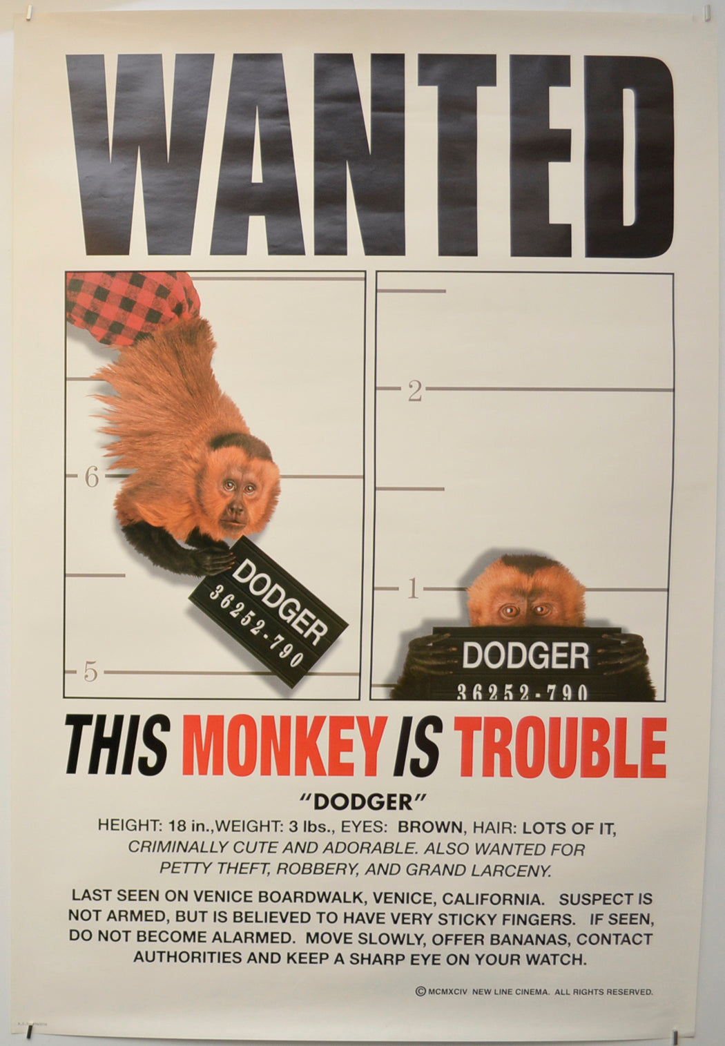 Monkey Trouble  Original One Sheet Poster - Film Poster - Movie Poster