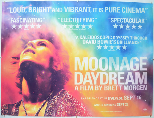 Moonage Daydream Original Quad Poster - Film Poster - Movie Poster  