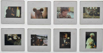 Mouse Hunt (Back of Slides) Original 35mm Slides - Cinema Press Slides