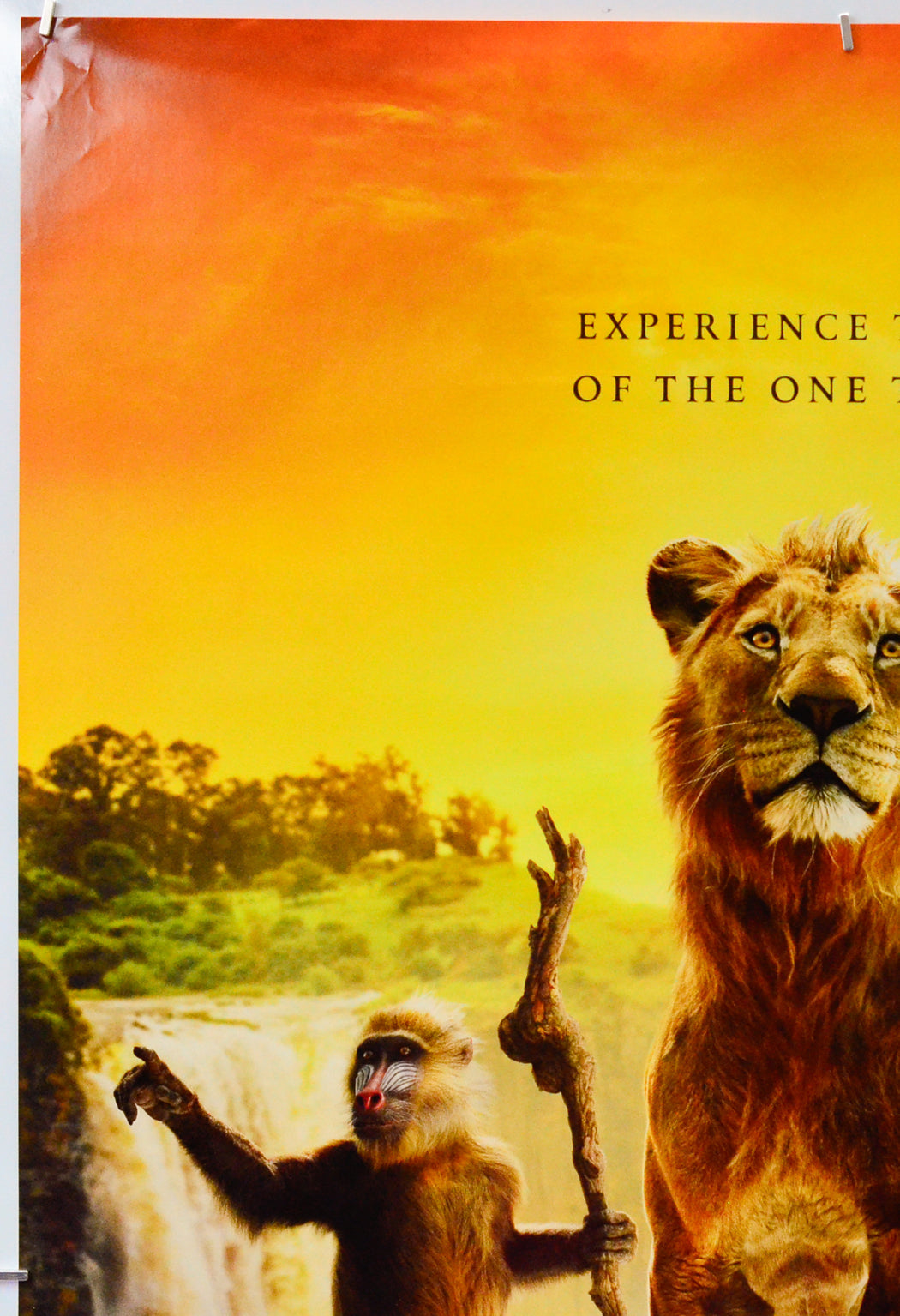 Mufasa: The Lion King (Top Left) Cinema One Sheet Movie Poster 