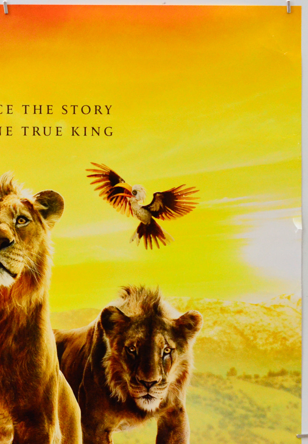 Mufasa: The Lion King (Top Right) Cinema One Sheet Movie Poster 