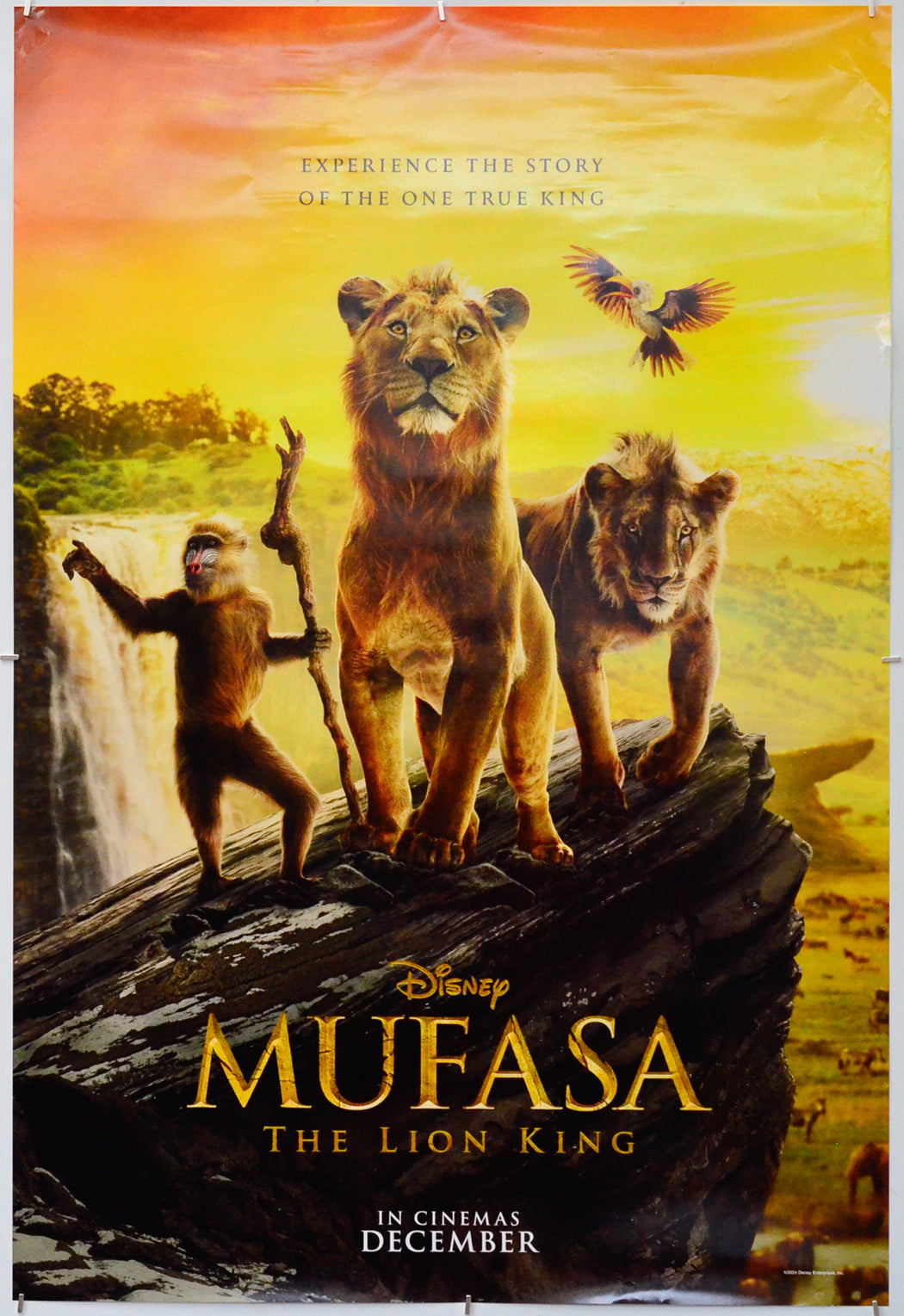 Mufasa: The Lion King - Original One Sheet Poster - Film Poster - Movie Poster 