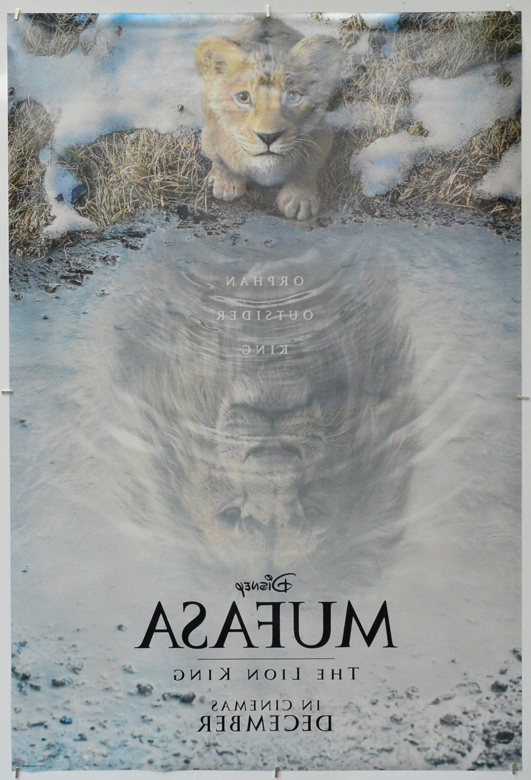 Mufasa: The Lion King (Back) Cinema One Sheet Movie Poster 