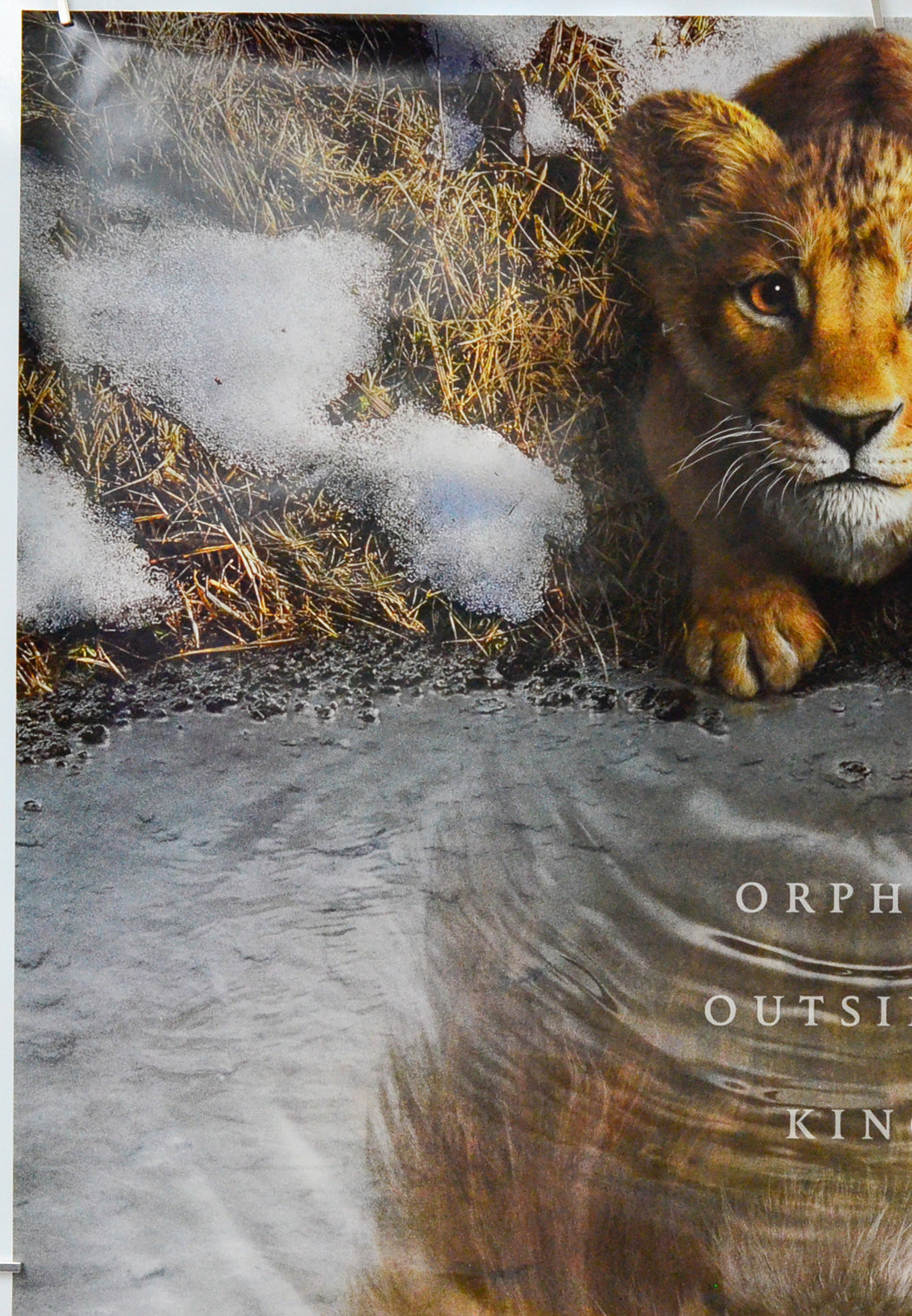 Mufasa: The Lion King (Top Left) Cinema One Sheet Movie Poster 