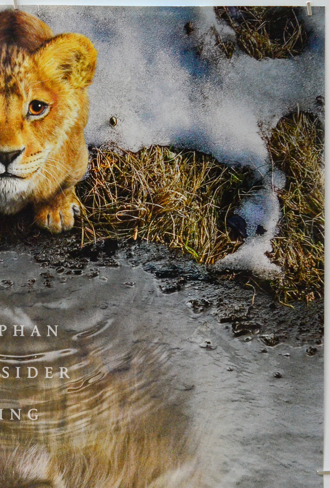 Mufasa: The Lion King (Top Right) Cinema One Sheet Movie Poster 