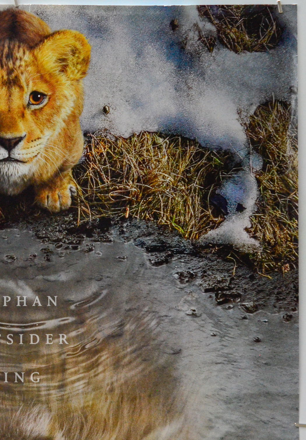 Mufasa: The Lion King (Top Right) Cinema One Sheet Movie Poster 