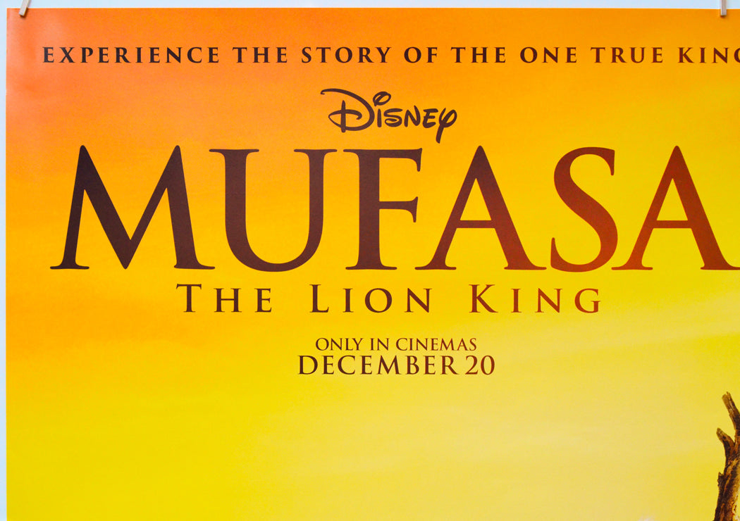 Mufasa: The Lion King (Top Left) Cinema Quad Movie Poster 