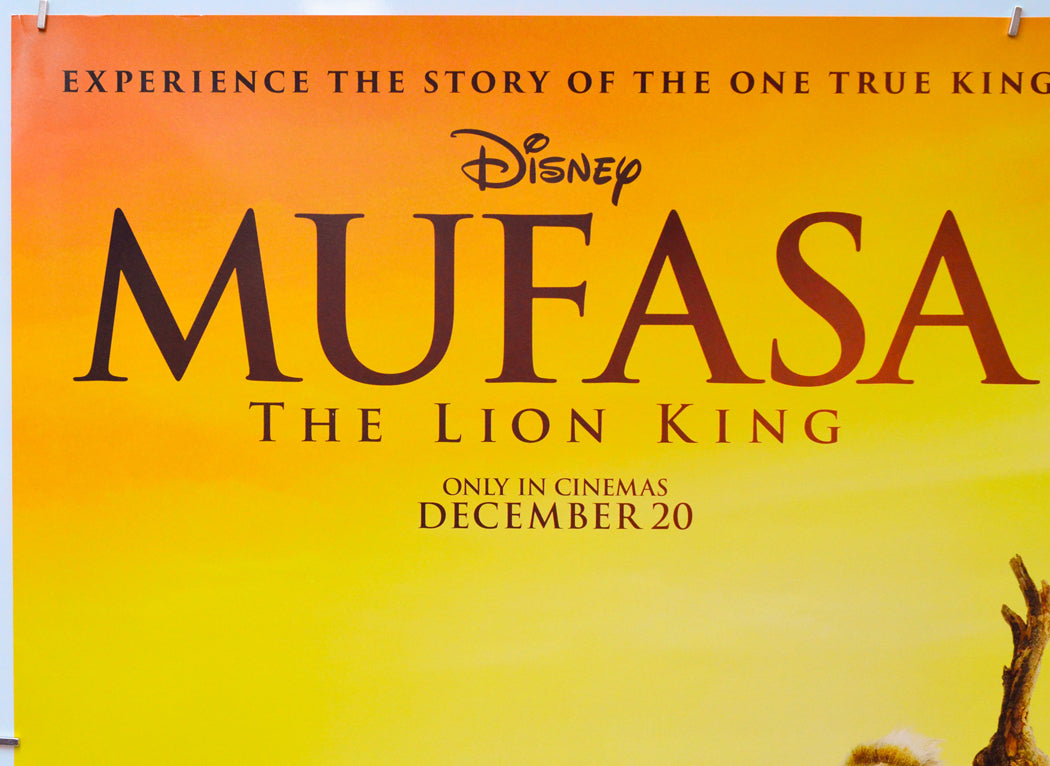 Mufasa: The Lion King (Top Left) Cinema Quad Movie Poster 