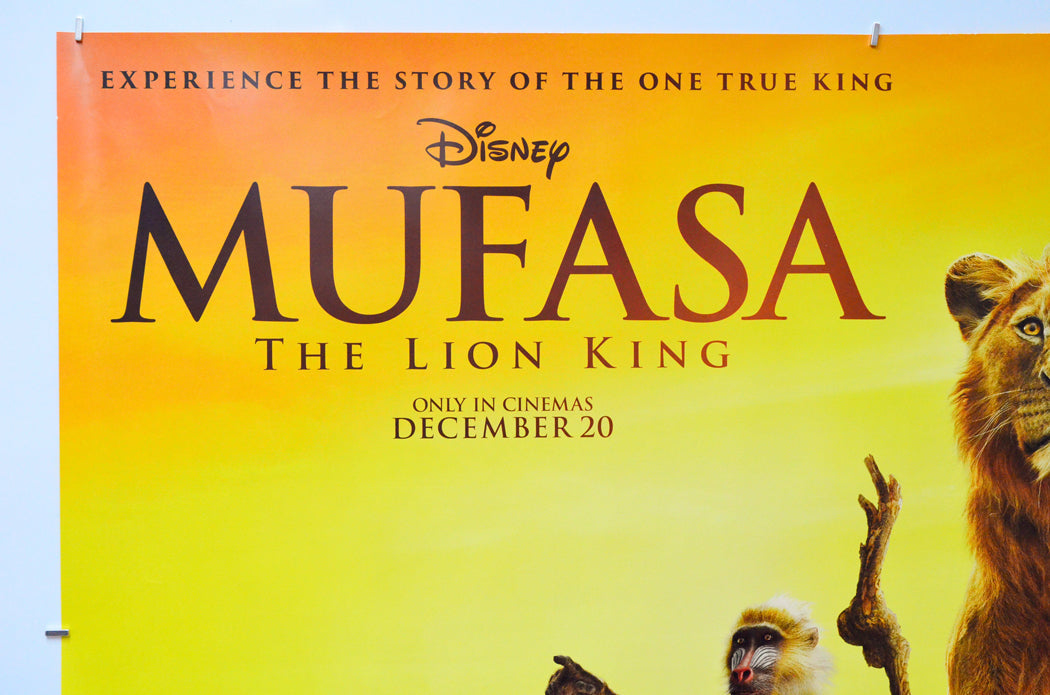 Mufasa: The Lion King (Top Left) Cinema Quad Movie Poster 