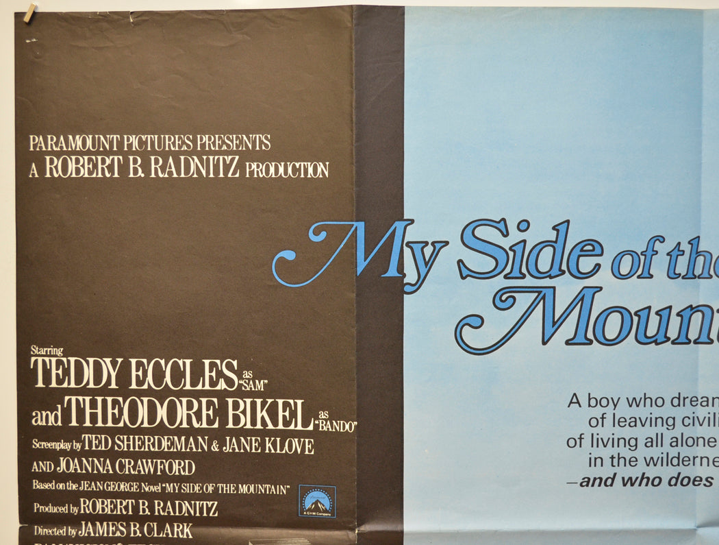 MY SIDE OF THE MOUNTAIN (Top Left) Cinema Quad Movie Poster 