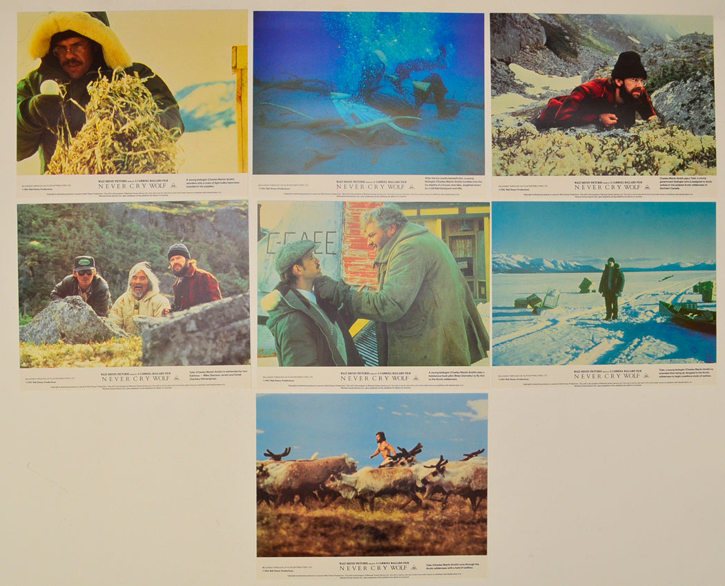 Never Cry Wolf 7 Original Lobby Cards / Colour Front Of House Stills 