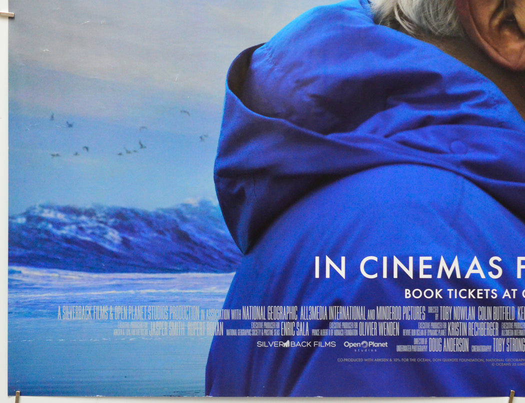 Ocean With David Attenborough (Bottom Left) Cinema Quad Movie Poster 