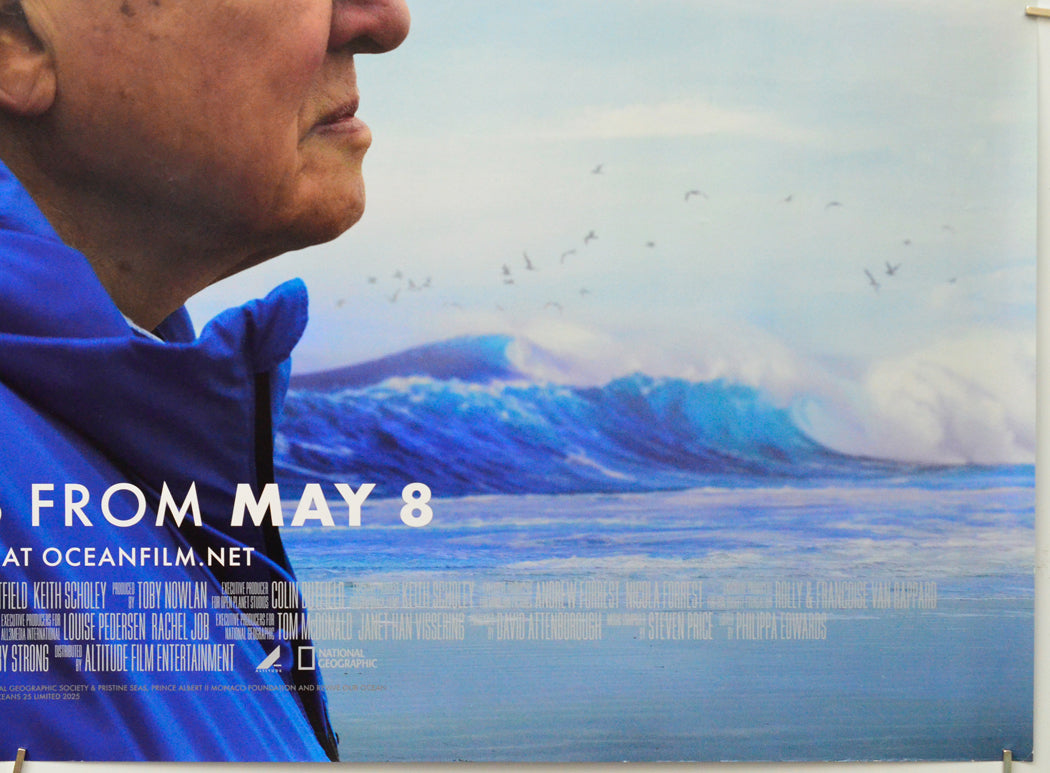 Ocean With David Attenborough (Bottom Right) Cinema Quad Movie Poster 