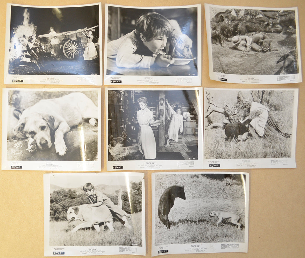 Old Yeller 8 Original Black and White Press Stills (Photographs) 