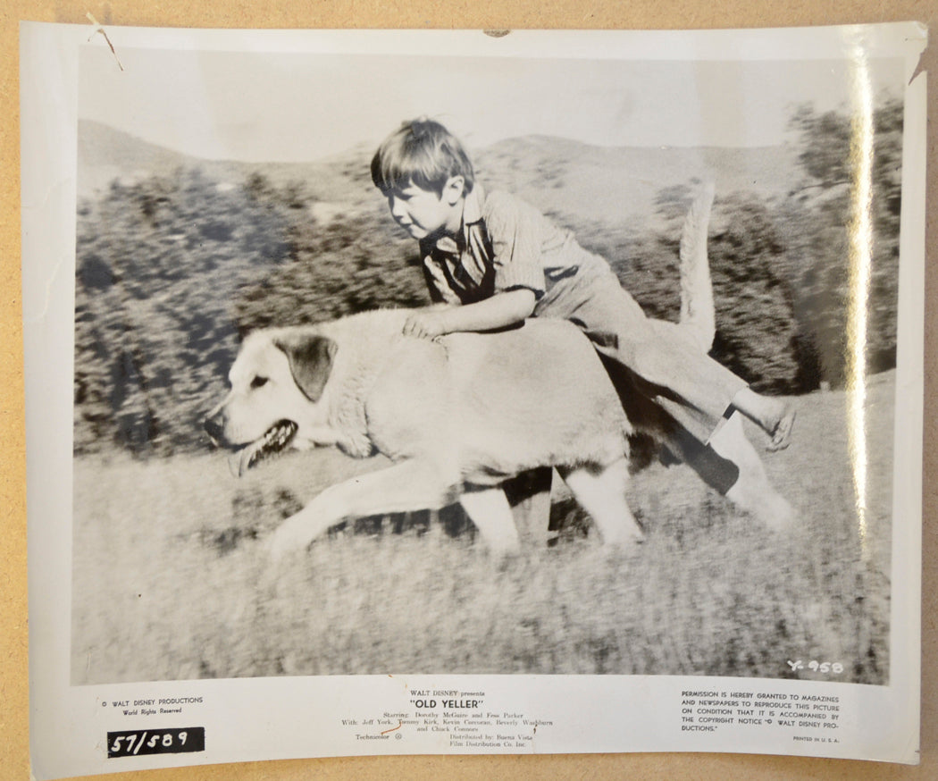 OLD YELLER (Still 2) Cinema Black and White Press Stills 