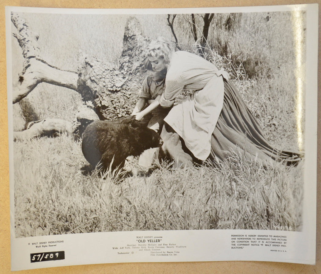 OLD YELLER (Still 3) Cinema Black and White Press Stills 